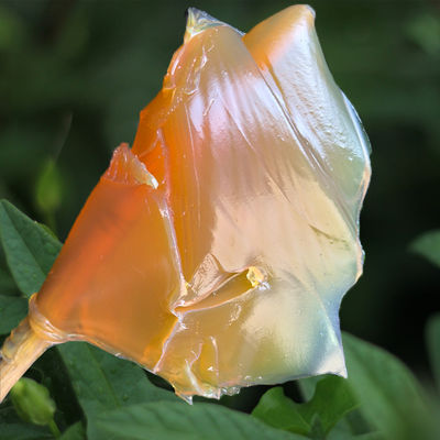 Προσαρμοσμένο θειικό ασβέστιο Ep Nlgi 2 λιπαντικό για βαριά μηχανήματα εγγυημένο